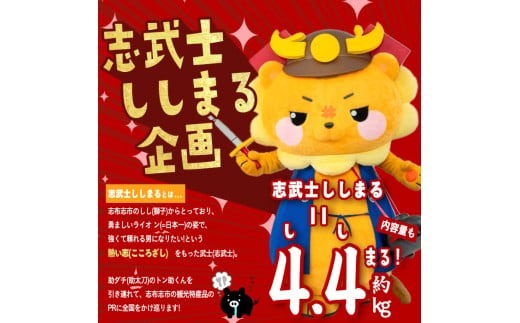 【定期便全4回】ししまる牛・豚定期便B(4ヶ月連続・約4.4kg) t0050-021