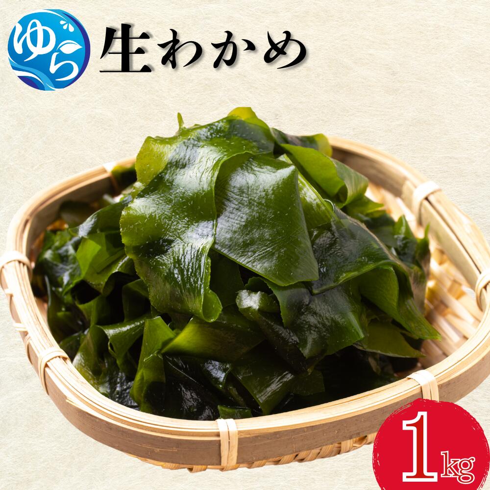 【ふるさと納税】＼レビューキャンペーン中／ 生わかめ 1kg【来シーズン先行予約】※2026年2月上旬頃～順次発送予定 / 食品 海の幸 海鮮 カイセン 海鮮類 ワカメ 生ワカメ 酢の物 サラダ 簡単調理 お味噌汁 和歌山県 由良町 //meisan
