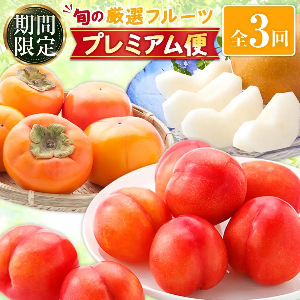 26年10月開始予定 フルーツ 旬の厳選 プレミアム便  全3回  柿 プラム 梨 果物 E268-01