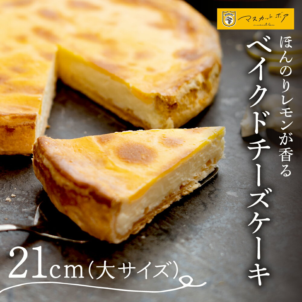 【ふるさと納税】 ベイクドチーズケーキ 大サイズ 21cm 8～10人分 約690g マスカットボア ベイクド チーズケーキ チーズ ケーキ クリームチーズ スイーツ デザート お菓子 菓子 洋菓子 お取り寄せ プレゼント ギフト 贈答 贈り物 冷蔵 北海道 札幌市