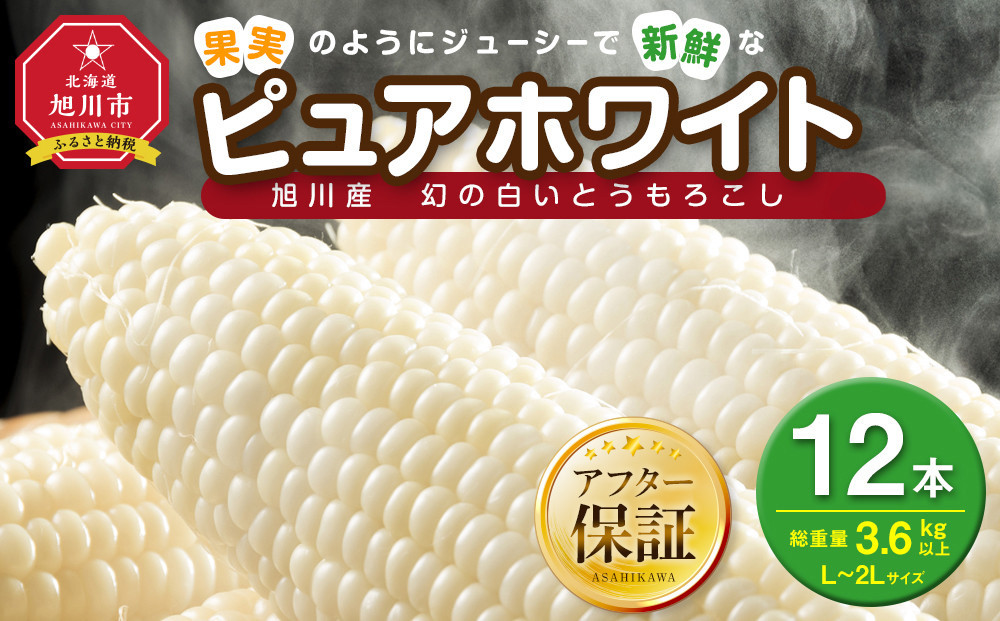 【2026年先行予約】白いとうもろこしピュアホワイト 12本 3.6kg(2026年8月下旬より発送予定) 【 人気 北海道産 糖度 生 野菜 スイートコーン 産地直送 バーベキュー BBQ コーン 旬 お取り寄せ 旭川市 北海道 送料無料 】_00407