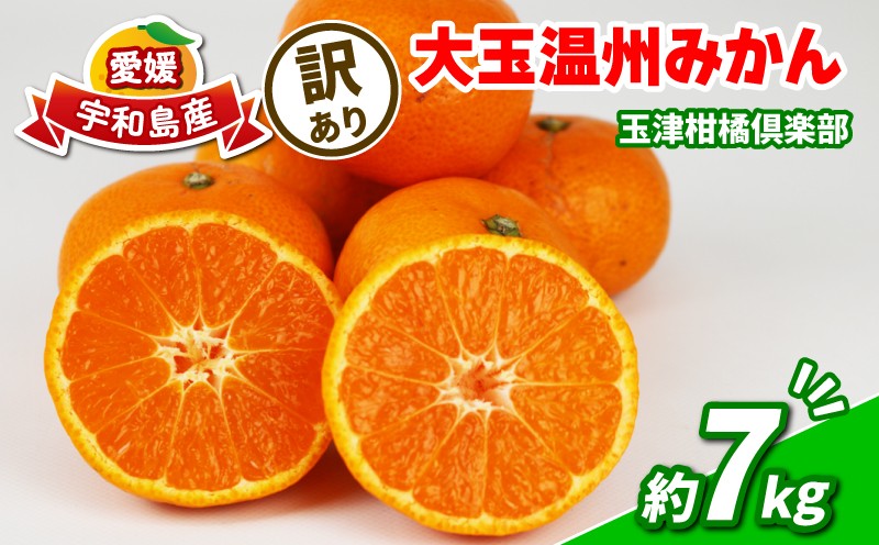 
                  訳あり 大玉 みかん 7kg 温州みかん 先行予約 玉津柑橘倶楽部 温州 蜜柑 大玉みかん 甘い 果物 くだもの フルーツ 柑橘 mikan 愛媛蜜柑 愛媛みかん 愛媛ミカン ミカン わけあり サイズ 不揃い 産地直送 数量限定 国産 愛媛 宇和島 B005-072054
                