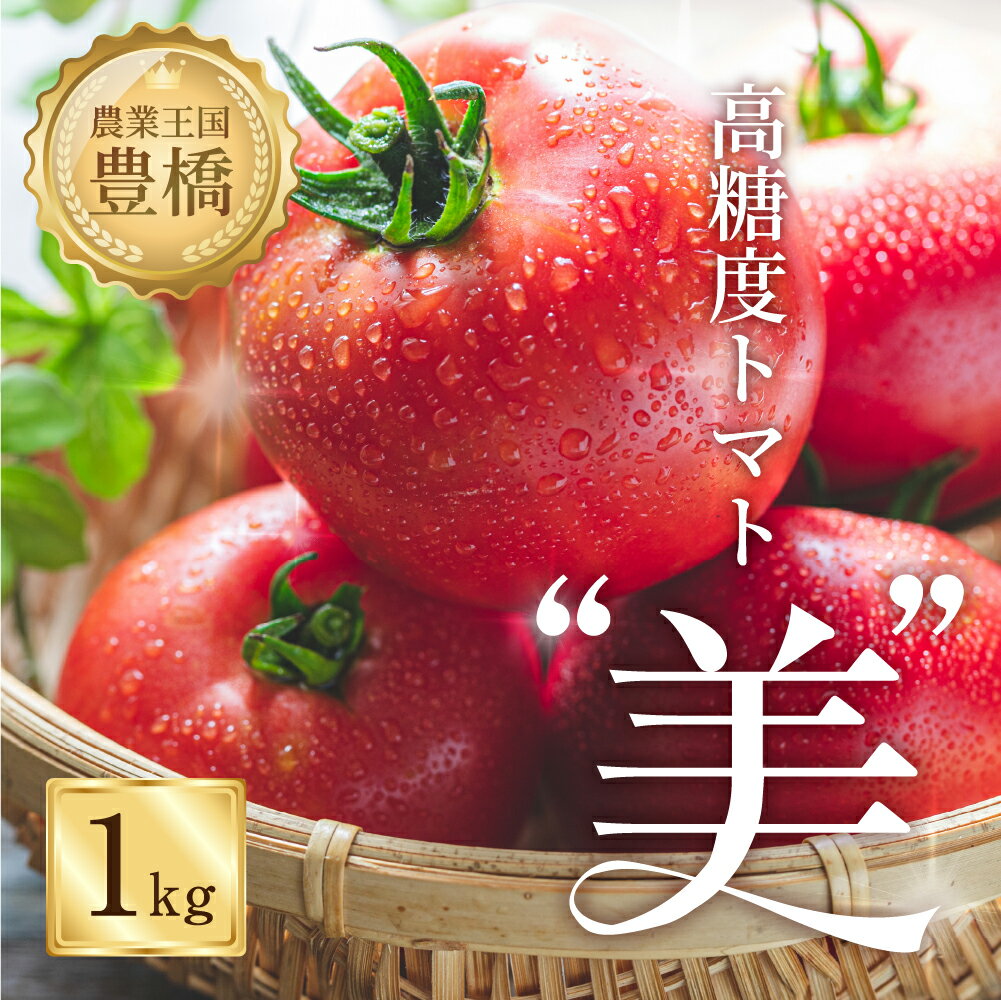 【ふるさと納税】≪先行予約≫ 糖度8度！"美"トマト 1kg 大玉トマト トマト とまと 高糖度 野菜 フルーツ 果物 ブランドトマト 1キロ 甘い 愛知県 豊橋市 10000円 1万円