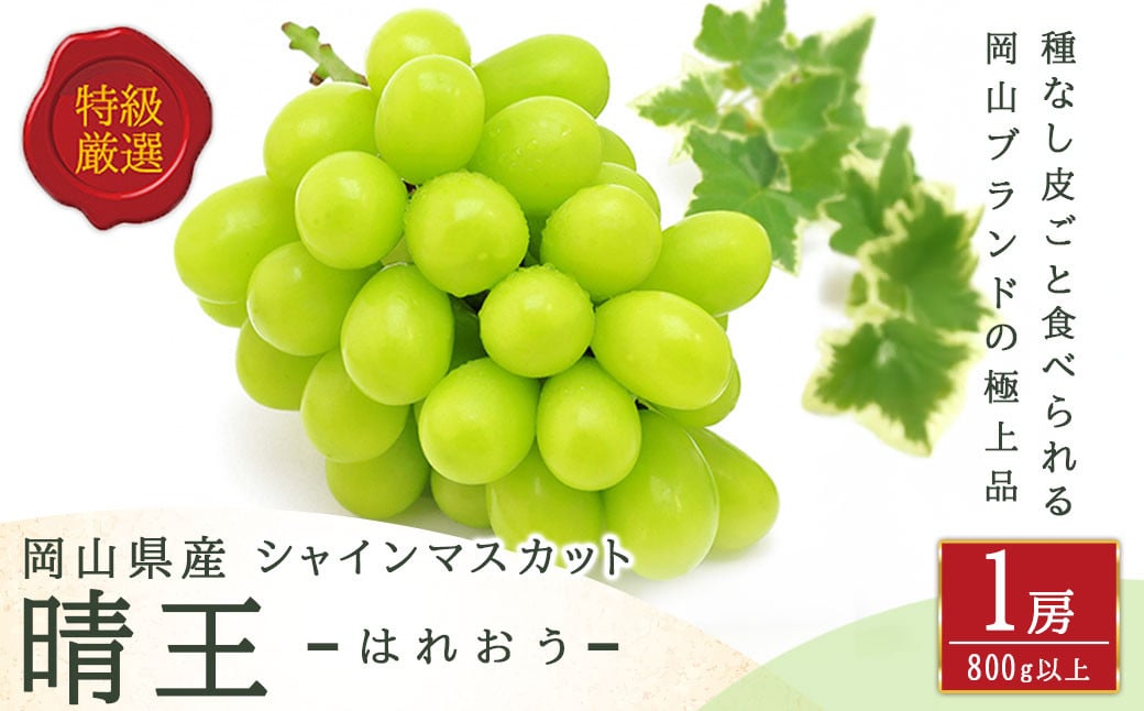 シャインマスカット 晴王 1房 （800g以上） 化粧箱入り 【2026年8月下旬～11月上旬迄発送予定】 ／ マスカット 葡萄 ぶどう 果物 果実 フルーツ 種なし 皮ごと 大粒 岡山県 美咲町 冷蔵