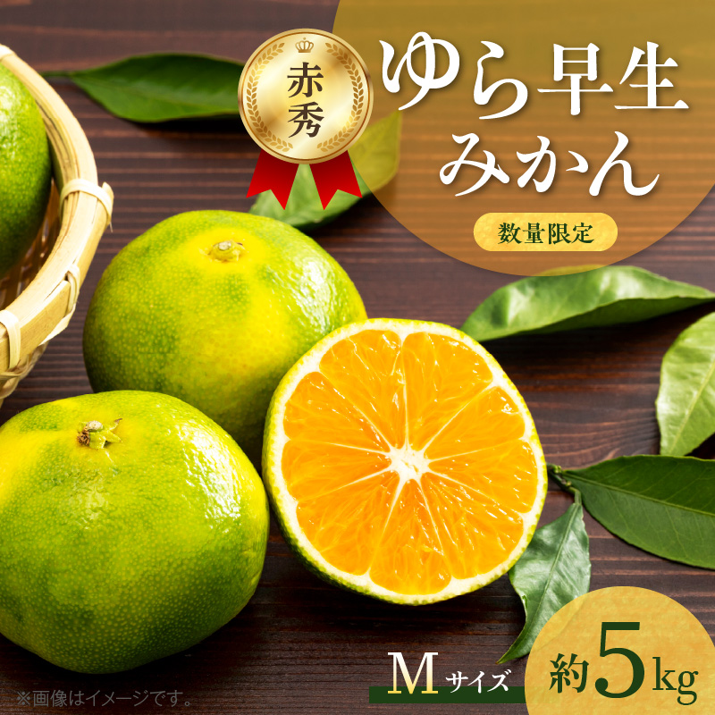 【2026年先行予約】ゆら早生みかん 5kg 赤秀 Мサイズ_BF6042n