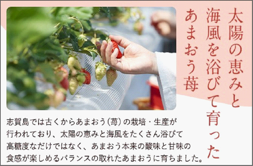 フルーツソムリエが選んだ 福岡市産春あまおう6パック※2025年2月上旬から2025年3月下旬にかけて順次発送