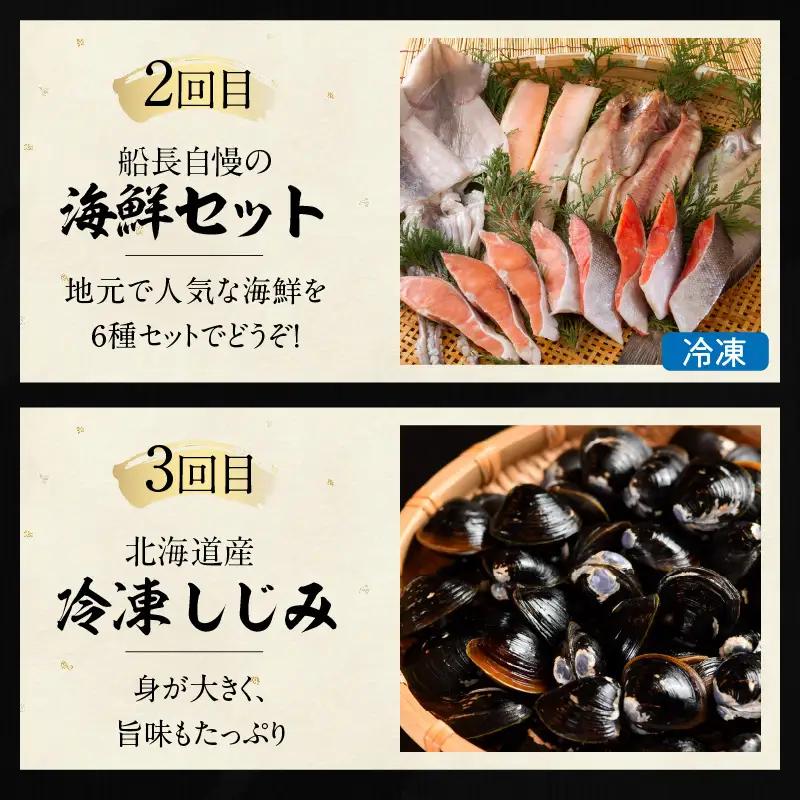 【3ヶ月定期便】船長おすすめ！海の幸セット ( ほたて ホタテ 海鮮丼 ほっけ 鮭 いか サーモン しじみ 定期便 魚介 )【999-0309】