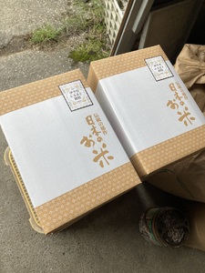 お米 令和7年産 5kg にじのきらめき 特別栽培米  先行予約  【2025年10月以降発送】 精米 米 こめ コメ 白米 ごはん ライス 愛媛 伊予市｜C148