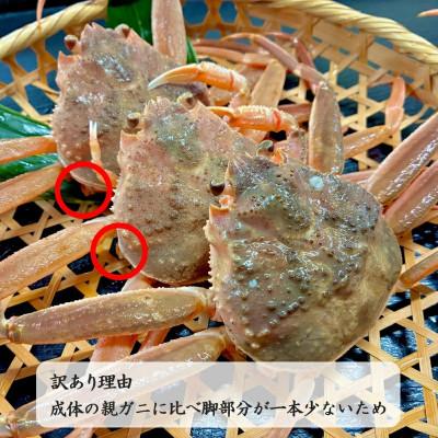 ふるさと納税 浜田市 《期間限定》【訳あり】親ガニ甲羅盛り2枚 |  | 02