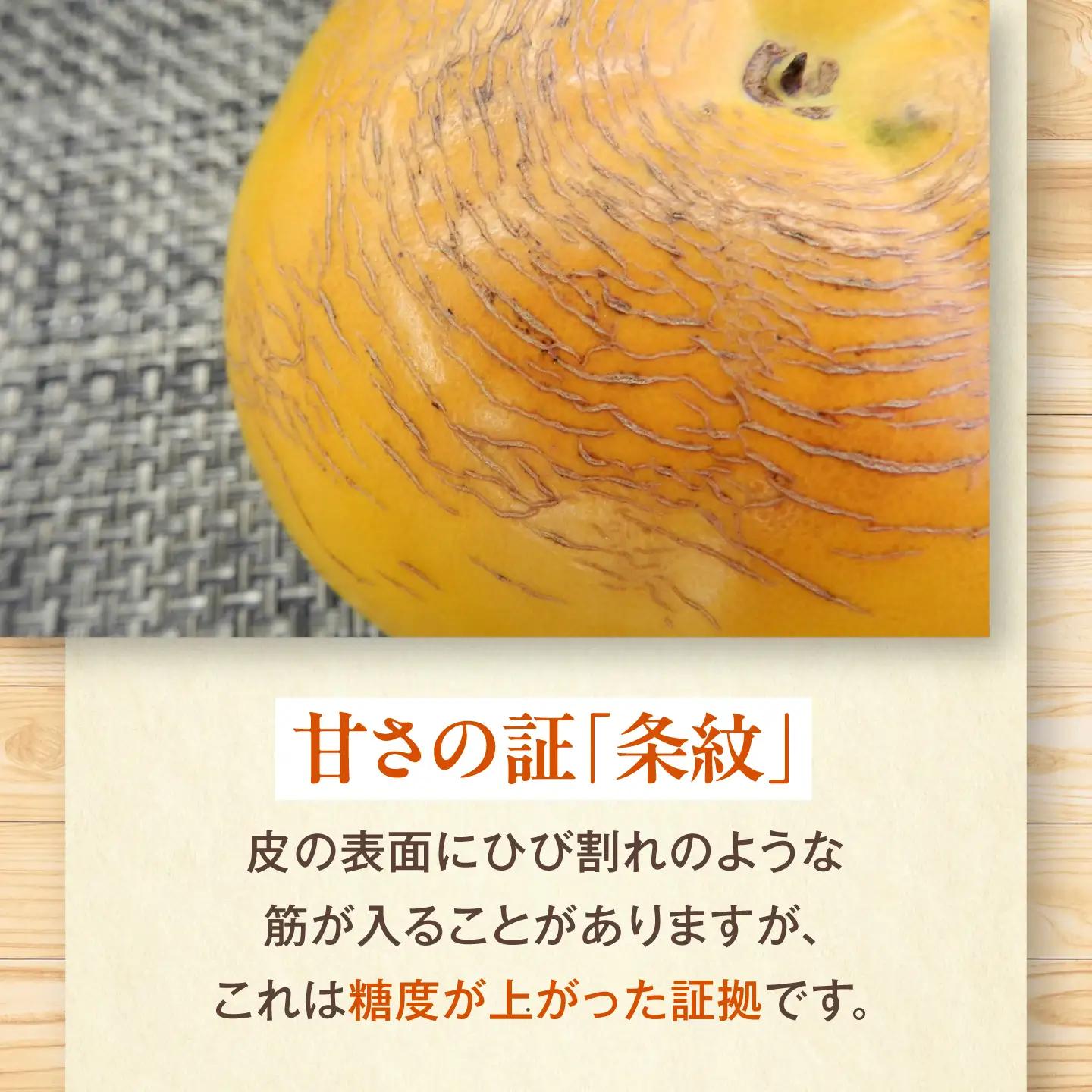 太秋柿 赤秀2Lサイズ約3kg（12玉入り）柿 フルーツ  BKAL004