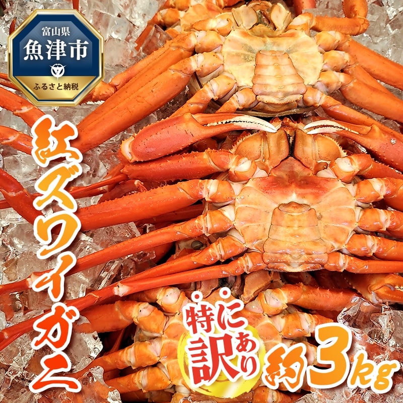 【特に訳あり】自社漁船直送！魚卸問屋のベニズワイガニ 約3kg ※2026年9月下旬～2027年5月下旬頃に順次発送予定 ※北海道・沖縄・離島への配送不可