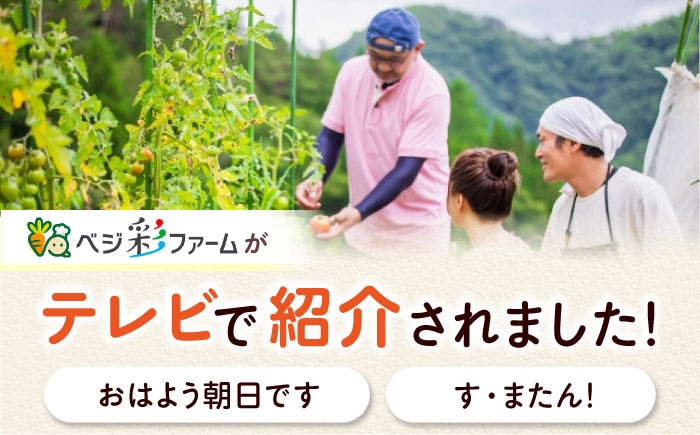 令和7年産 新米 キヌヒカリ 米 お米 白米 コメ おこめ 10kg 5kg きぬひかり 人気 おすすめ 産地直送 国産 新鮮