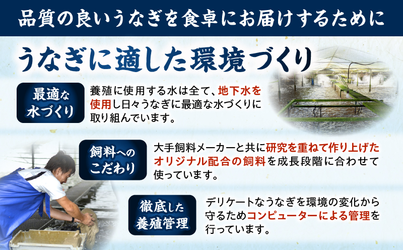 九州産うなぎ蒲焼6尾 計1,020g以上 うなぎ 国産 蒲焼 6尾 人気 おすすめ 冷凍 簡単調理 個包装 魚介 ギフト 贈り物 九州産 鰻楽
