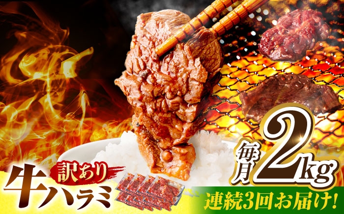 
            【3回定期便】【訳あり】味付けハラミ 2kg(250ｇ×8パック) / ハラミ 牛肉 焼肉 / 御嵩町 / 馬力家 [AVBO048]
          