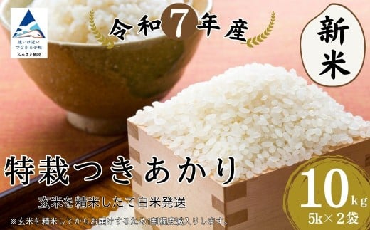 特栽つきあかり 精米 白米 （玄米10kgを精米したて白米発送）令和7年産 新米 こしひかり | 石川県 小松市【のむら農産】