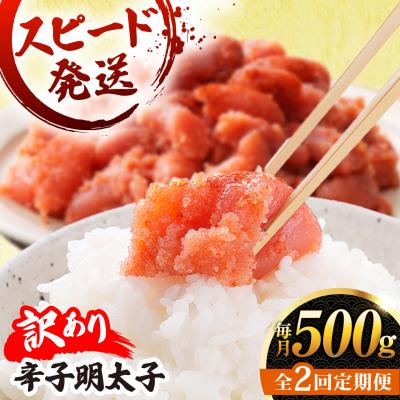 ふるさと納税 糸島市 【 全2回 定期便 】【 訳あり 】 辛子明太子 500g × 2回 [AKA095]