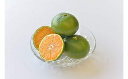 大鋸農園の早穫り甘果坊（小玉）５kg みかん 蜜柑 太良みかん 温州みかん 果物 フルーツ 甘い 早穫り 柑橘 ノーワックス 果実 くだもの 柑橘類 佐賀県 太良町 LB10