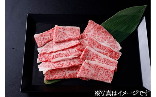 
那須和牛焼肉用A5（並カルビ）牛肉 国産 冷蔵 冷凍 焼肉 那須町〔B-1〕
