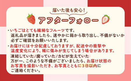 完熟オーガニックとちあいか 15粒または18粒 ※2025年12月中旬～2026年4月中旬頃に順次発送予定