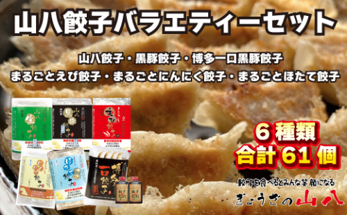 山八餃子バラエティーセット[H4309]