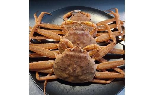 
                  【先行予約】生セコガニ5枚（1枚200g）【蟹 カニ かに 国産 人気 おすすめ 鳥取県 琴浦町 送料無料】
                