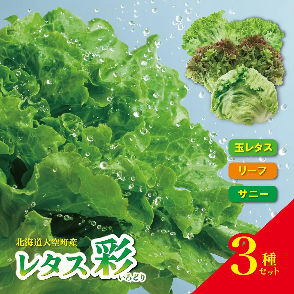 【先行予約】レタス彩（いろどり）3種セット（2026年9月以降順次発送）  OSU003