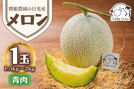 関根農園の日光産「青肉メロン」1玉【2026年9月初旬より順次発送】｜先行予約 メロン 果物 くだもの フルーツ スイーツ 青肉 日光市産 栃木県産 国産 [0851]