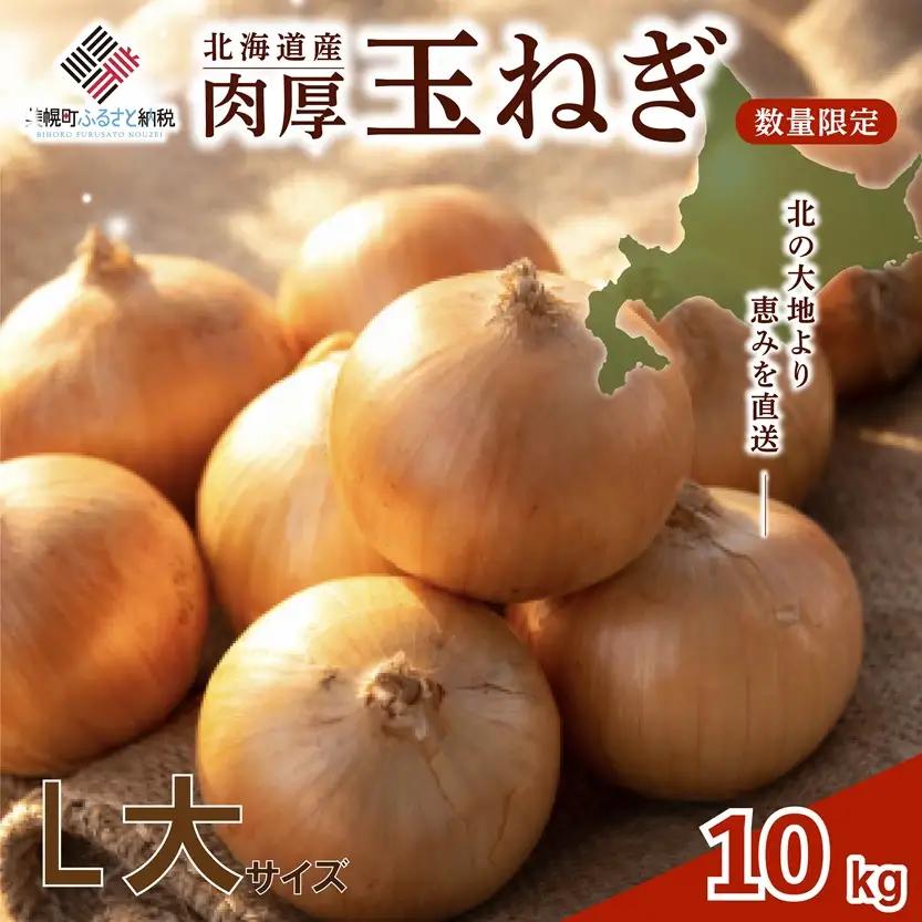 【先行予約】美幌たまねぎ 10kg 玉ねぎ たまねぎ