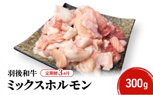 《 定期便 3ヵ月 》 秋田県 羽後町産 羽後和牛 ミックスホルモン 300g 【 焼肉 ホルモン BBQ バーベキュー キャンプ 】