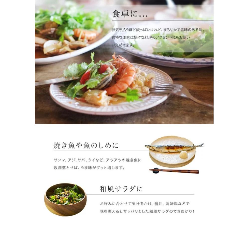 V6228_じゃばら果汁 360ml×10本 100％ストレート果汁 邪払 ジャバラ じゃばら 果汁 北山村 / 紀伊国屋文左衛門本舗_イメージ3