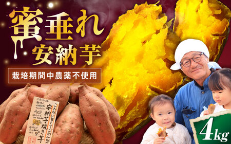 さつまいも【厳選】熟成安納芋 4kg[AQCF006]サツマイモ