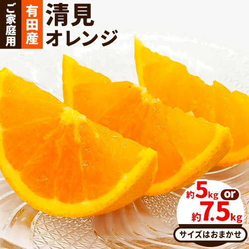 【ふるさと納税】【先行予約】【産直】有田産 清見オレンジ ご家庭用 訳あり 選べる内容量 約5kg 約7.5kg サイズおまかせ 日高川町厳選館《2月上旬-3月末頃出荷》和歌山県 日高川町 柑橘 果物 フルーツ 清見 オレンジ 清見オレンジ 有田産
