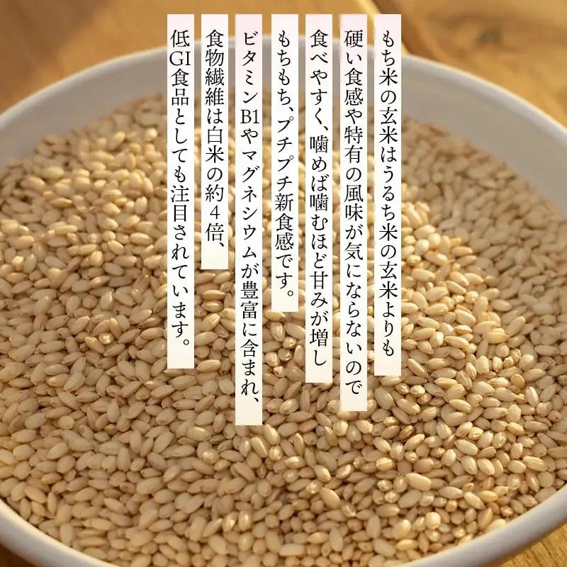 【冷凍】でわのもち使用　もち米玄米おむすび　20個（5種×各2個×2セット） | おにぎり 冷凍 もち米玄米 玄米 食品 ご飯 簡単 便利 お手軽 レンジ 山形県 鶴岡市 返礼品