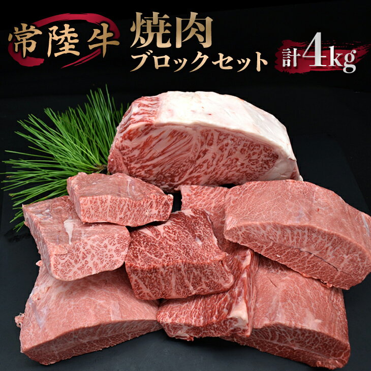 【ふるさと納税】＼レビューキャンペーン／焼肉ブロックセット【サーロイン ミスジ カルビ カタバラ バラ お肉 焼肉 食べ比べ やきにく ステーキ 厚切り かたまり ブロック肉 冷凍】