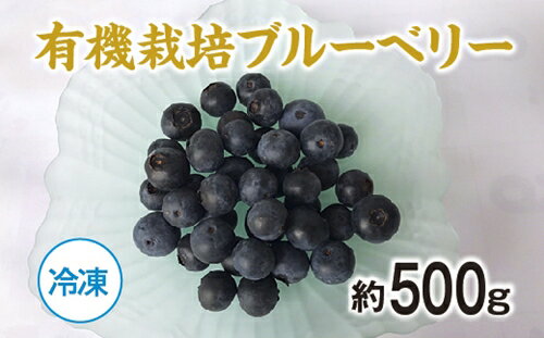 【ふるさと納税】（冷凍）有機栽培　ブルーベリー　約500g／きみちゃんファーム　果実　フルーツ　果物　国産　三重県　度会町