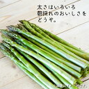 【ふるさと納税】アスパラ 約2kg M～2L【2024年4月下旬～6月下旬発送】新鮮野菜 国産 北海道産 北広島市産 春 冷蔵 北海道 北広島市 送料無料