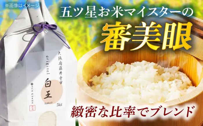 お米 白王(HAKUO)5kg お米 BLAZ002