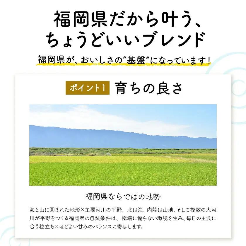 ふくおかみのり米 10kg 白米 《1-14日以内に出荷予定(土日祝除く)》 お米 ごはん ご飯 rice kome