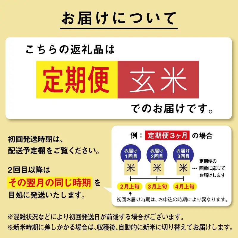 あきたこまち【令和8年先行予約】【12ヶ月定期便】玄米 15kg あきたこまち