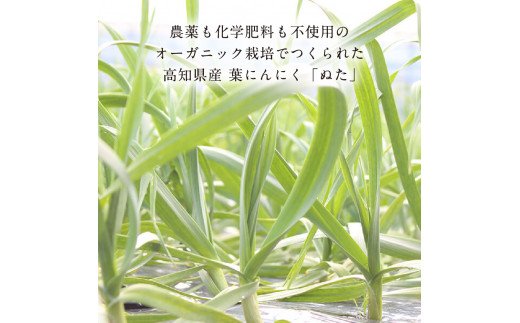 緊急支援 人気海鮮 芸西村厳選1本釣り本わら焼き「芸西村本気の極カツオのたたき（9～11人前）有名番組で紹介の有機無添加土佐にんにくぬた・タレ付き」かつお タタキ 海鮮 藁焼き 鰹 塩 ランキング〈高知県共通返礼品〉