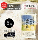 【ふるさと納税】 《先行予約》 ＜定期便 6回＞ 米 5kg 《 新潟県産 コシヒカリ みかわ稲穂の舞 》 令和6年産 5kg × 1袋 阿賀 三川 | 毎月 こしひかり 白米 精米 送料無料 お取り寄せ お米 金賞受賞 ※2024年10月中旬頃より順次発送