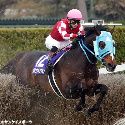 ふるさと納税 平取町 【オジュウチョウサン】丸めて使えるエコバッグ |  | 02