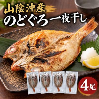 ふるさと納税 松江市 山陰沖産のどぐろ一夜干し 4尾(100g以上×4)