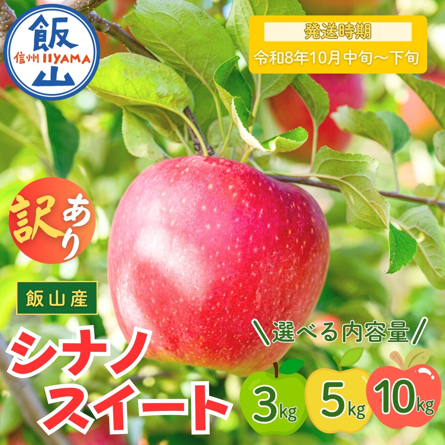 【ふるさと納税】2026年 先行予約 ＼ 訳あり シナノスイート ／ 選べる 3kg / 5kg / 10kg 長野県産 ＜出荷開始：2026年10月中旬頃〜下旬頃＞【 りんご リンゴ 林檎 フルーツ 果物 信州 規格外 B品 産地直送 新鮮 オススメ 美味しい 長野県 飯山市 】（At)