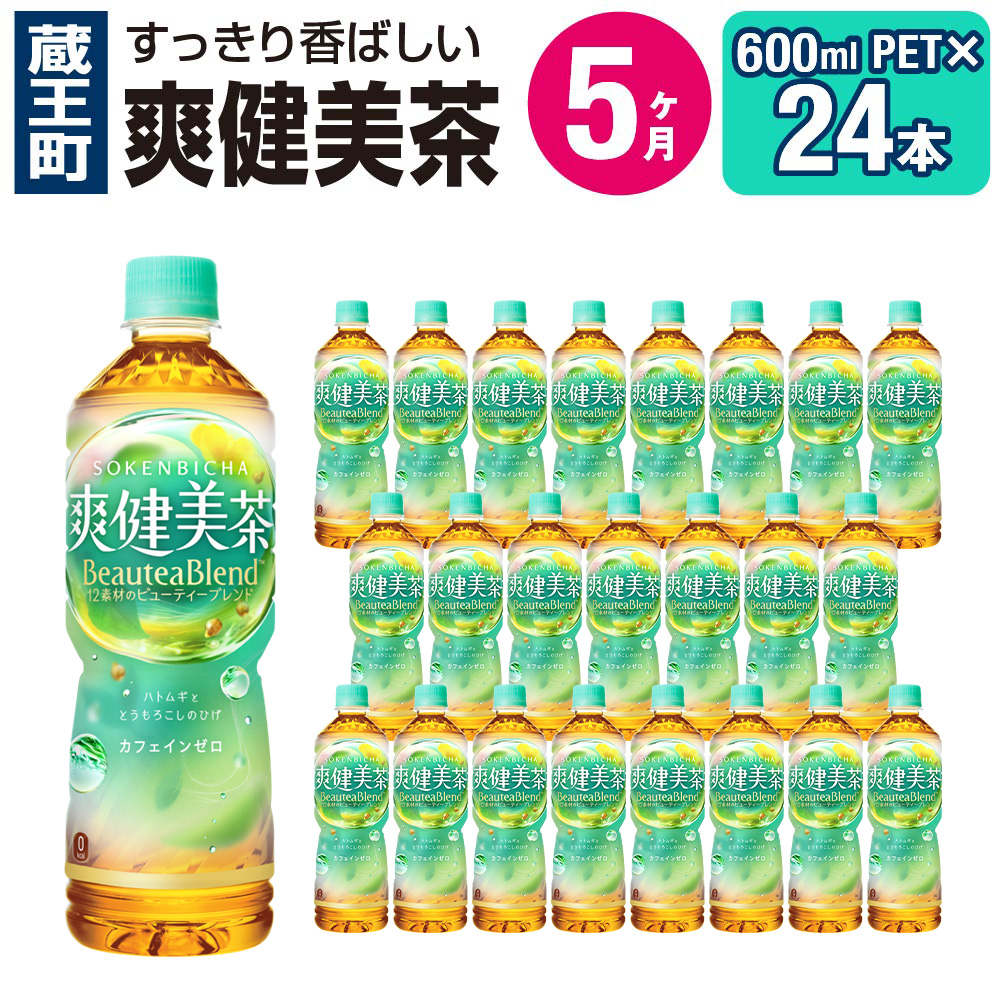 【5か月連続お届け】爽健美茶　600ml PET×24本　【04301-0029】