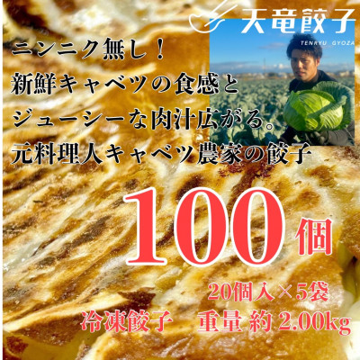 
                  静岡発!キャベツの旨さを追及した＜天竜餃子＞手土産にも配りやすいパック入り/20個×5パック【1511697】
                