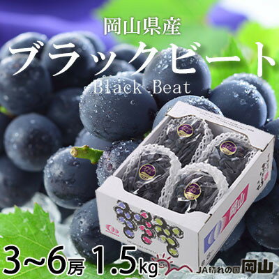 【ふるさと納税】【先行予約】岡山県産　ブラックビート 1.5kg(3房～6房)【配送不可地域：離島・北海道・沖縄県】【1400520】