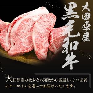 大田原産 黒毛和牛 サーロイン ステーキ　約300g×2枚
