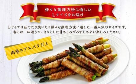【先行予約】【夏アスパラ】美唄産グリーンアスパラガス雪蔵美人 Lサイズ 1kg （2024年7月中旬発送予定）｜ アスパラ
