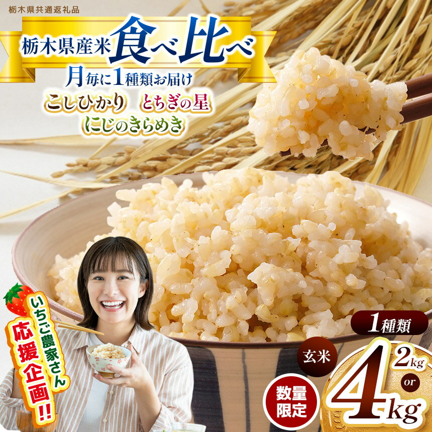 【ふるさと納税】 楽天限定 食べ比べ 定期便 限定 新米 栃木県産 コシヒカリ とちぎの星 にじのきらめき こしひかり 真空パック 2kg 4kg | 数量限定 栃木県産 玄米 米 こめ コメ ごはん 訳あり 那珂川町 共通返礼品 栃木県 備蓄米 美味しい 限定